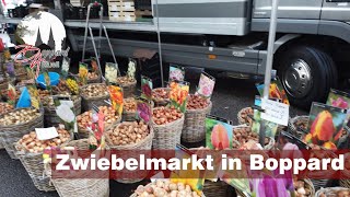 Zwiebelmarkt in Boppard