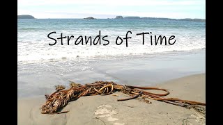 Strands of Time