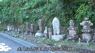 秋の広徳寺へ行こう！