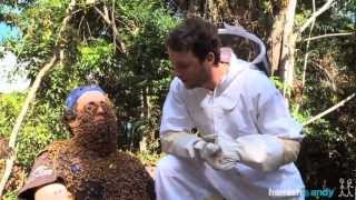 Andy's Bee Beard