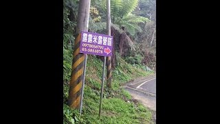 新竹．五峰住宿＆露露米露營區/休閒、旅遊、餐廳、美食、民宿