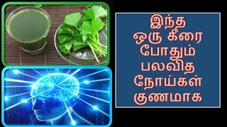 வல்லாரை கீரை போதும் பலவித நோய்கள் குணமாக | VALLARAI KEERAI USES TAMIL👌👈