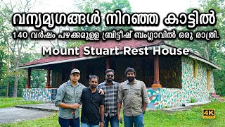 വന്യമൃഗങ്ങൾ നിറഞ്ഞ കാട്ടിൽ ഒരു രാത്രി .  Mount Stuart Rest House