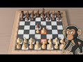 TOP Skakmat Ganas Pembukaan Blackmar Gambit [GM Gameplay]