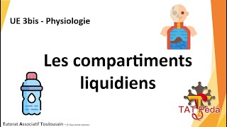 TAT Pédagogie-UE3bis Physiologie-Les compartiments liquidiens