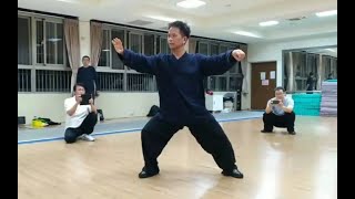 陳式太極拳56式 - 六封四閉/單鞭/雲手教學示範 CHEN Style TaiChi Quan 56 performed