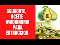 🥑🥑 Extracción  Aceite Aguacate🥑🥑