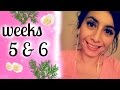 Dr. Morse's Detox Review Weeks 5&6 | EAR CANDLING AND MUCUS