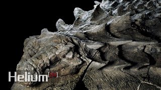 Fósil de dinosaurio de hace 110 millones de años está tan bien conservado que parece una estatua