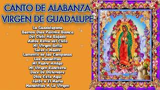 Alabanzas a la Virgen de Guadalupe💐La Virgen De Guadalupe🙏Canciones a la Virgen De Guadalupe 2023
