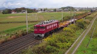 回9141レ EF81-98牽引 12系 3B 仙山線 紅葉号 用、配9502レ ED75-757 岩切ロンチキ チキ5500 7B 廃回 五百川～本宮 離合 2020/10/23 廃車回送