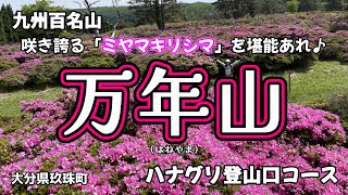 【九州百名山】万年山　圧巻のミヤマキリシマの花畑が待ってるぞ🤗