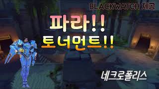 트레이서 파라 챔피언전!! 오래 기다렸지?