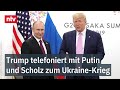 US-Außenpolitiker angespannt: Trump telefoniert mit Putin und Scholz zum Ukraine-Krieg | ntv