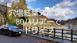 【刀利ダム】穴場紅葉スポット　80ハリアードライブ動画　富山県南砺市