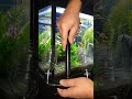 DIY Bio Sponge Filter #Shorts