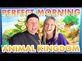 The SECRET to the Best Morning EVER in Disney's Animal Kingdom