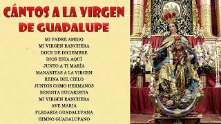 Los Berrenditos Cantos y Alabanzas a la Virgen de Guadalupe🙏Cántos a la virgen de Guadalupe🙏