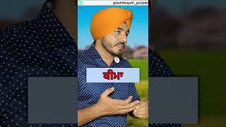 ਮੈਂ ਹਰ 3 ਸਾਲਾਂ ਬਾਅਦ ਆਪਣੀ ਕਾਰ ਬਦਲਦਾ | I Change My Car Every 3 Years in Punjabi | bekifaayati Punjabi