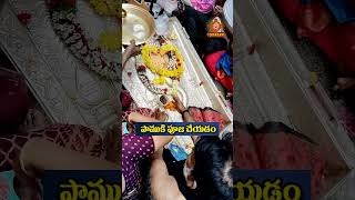 పాముకి ఎందుకు పూజ చేయాలి ? #chaganti #snake #Korba #Pooja #sankranti #festival #trending #motivation