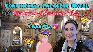 HOTEL CONTINENTAL PALACETE vs CONTINENTAL BARCELONA (Free Buffet and Pet friendly h.) SPAIN. España