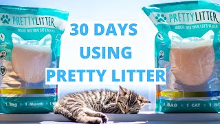 After 30 days using Pretty Litter