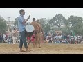 शिवम पहलवान की नई कुश्ती shivam pahalwan ki nai kushti karnal haryana dangal