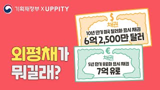 [기획재정부X어피티슈] 💵 역대 최저금리! 성공적인 발행! 💶 외평채 이슈된 이유는?! l 기획재정부