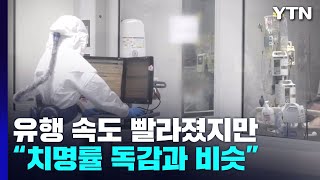 코로나19 치명률 독감 수준과 비슷...휴가철 검역·방역 강화 / YTN