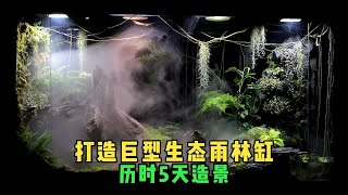 打造巨型生态雨林缸