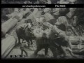 teak trees being felled in burma 1950 s. film 90688