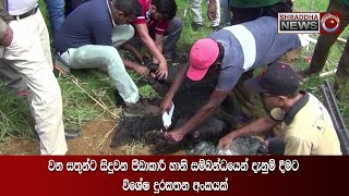 වන සතුන්ට සිදුවන පීඩාකාරී හානි සම්බන්ධයෙන් දැනුම් දීමට විශේෂ දුරකතන අංකයක්…(2020-07-06)