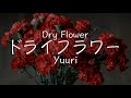 【Romaji】Dry flower - Yūri ryoukashi lyrics video