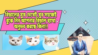 Cat pain। Pain in Cat। বিড়াল ব্যাথা অনুভব করছে কিনা কিভাবে বুঝবেন। বিড়ালের ব্যাথা। বিড়ালের সমস্যা।