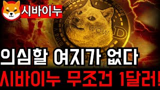 의심할 여지가 없다 시바이누 무조건 1달러 갑니다!! 숨겨진 비밀 공개