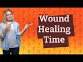 How fast do cat wounds heal?