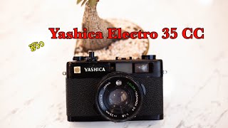 รีวิวกล้อง​ฟิล์ม​ Rangefinder Yashica Electro 35 CC by: ก้องฟิล์ม ร้านขายกล้องฟิล์ม