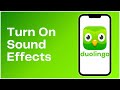 How To Turn On Sound Effects on Duolingo? 2024