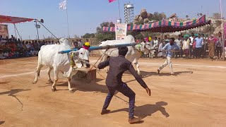 బిజినపల్లి న్యూ కేటగిరి విభాగం బండలాగుడు పోటీలు 1వ జత-bijinapally bulls race 2023-bulls videos-oxen