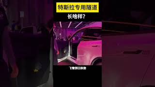 【科技趣闻】特斯拉专用隧道长啥样？  #shorts