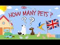 How many ?  Pets ESL English practice