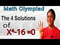 A Nice Math Olympiad Exponential Equation Problem. The easiest way || the 4 Solutions