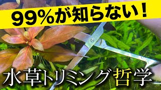 【水草復活】水槽を長期維持するトリミング方法 in地球 #12