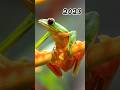 2023 frog 🐸 and 5000 bce frog 🐸 // mythical biology // time travel #shorts #viral 🥶