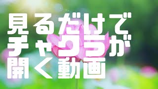 チャクラを開く方法！12分であなたのすべてのチャクラを開く動画