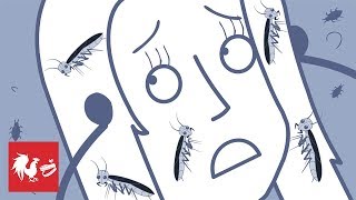 That's a Lotta Roaches - Rooster Teeth Animated Adventures