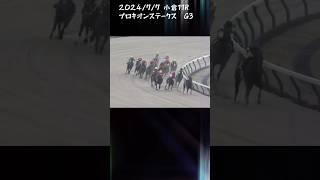 プロキオンステークス　もちおの当たらない予想 #競馬 #競馬予想 #プロキオンステークス