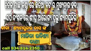 ଚିତଳ ମାଛ କଣ୍ଟା ରେ ହେବ ଛତିଆ ବଟ ର ମୁଖ୍ୟଦ୍ୱାର/କବାଟ.||Malika Future Prediction|| Taladhwaja Tv