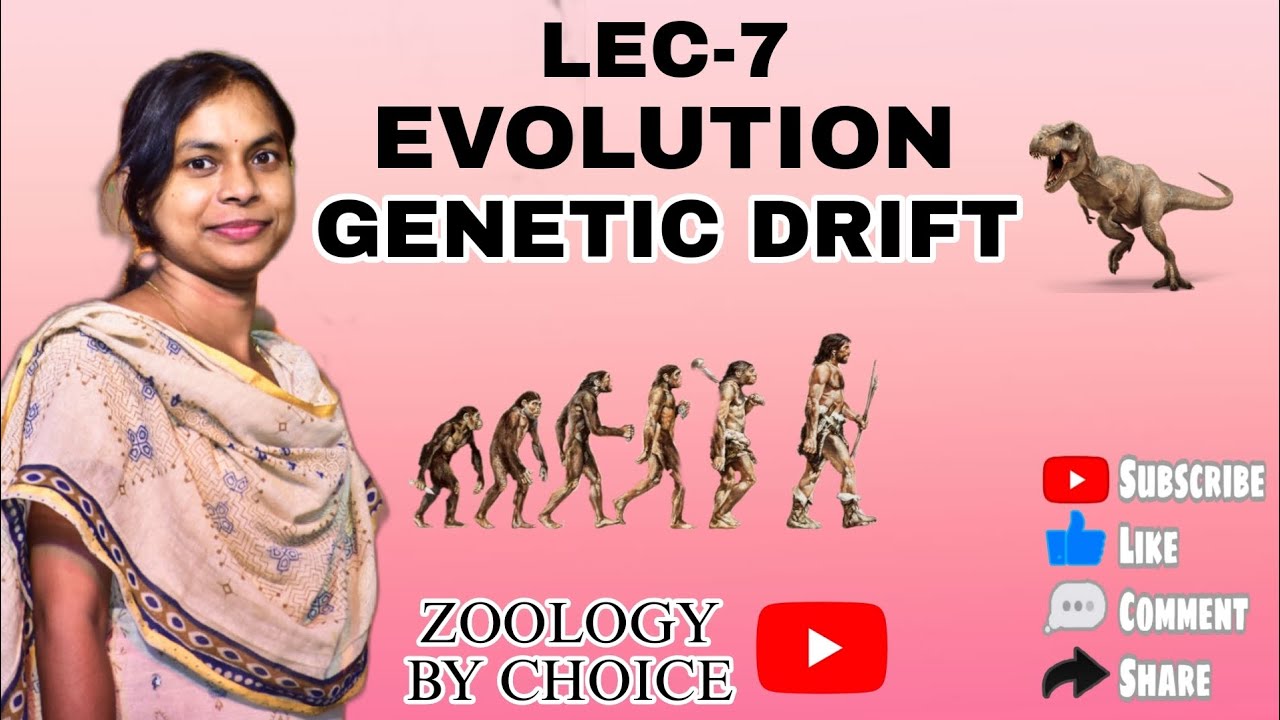 LEC-7//GENETIC DRIFT//EVOLUTION//ZOOLOGY BY CHOICE - YouTube