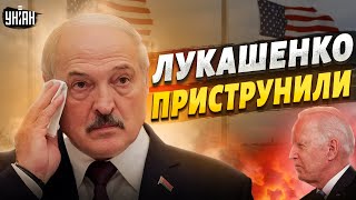 Упс, Лукашенко догавкался! США приструнили картофельного тирана. Ультиматум Минску